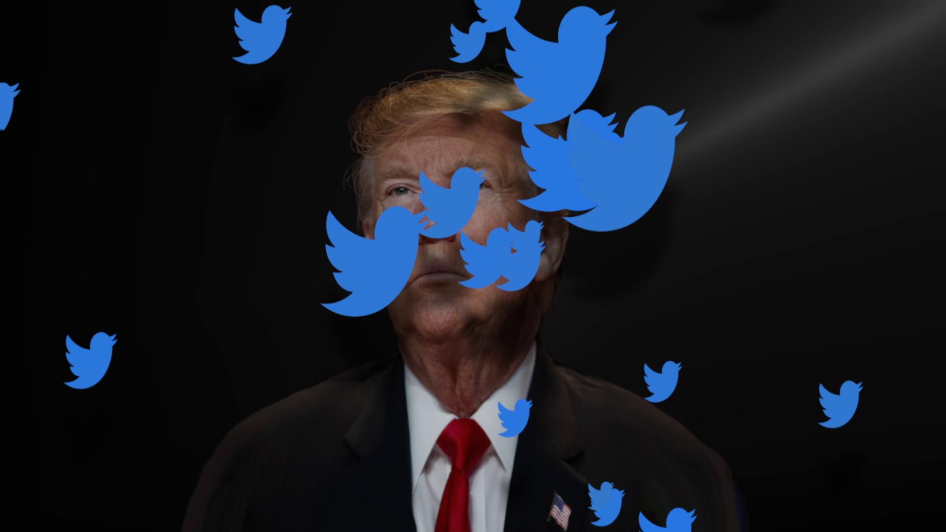MentallyIncompetent